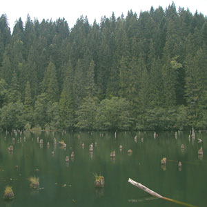 Lacul Rosu (Red Lake)